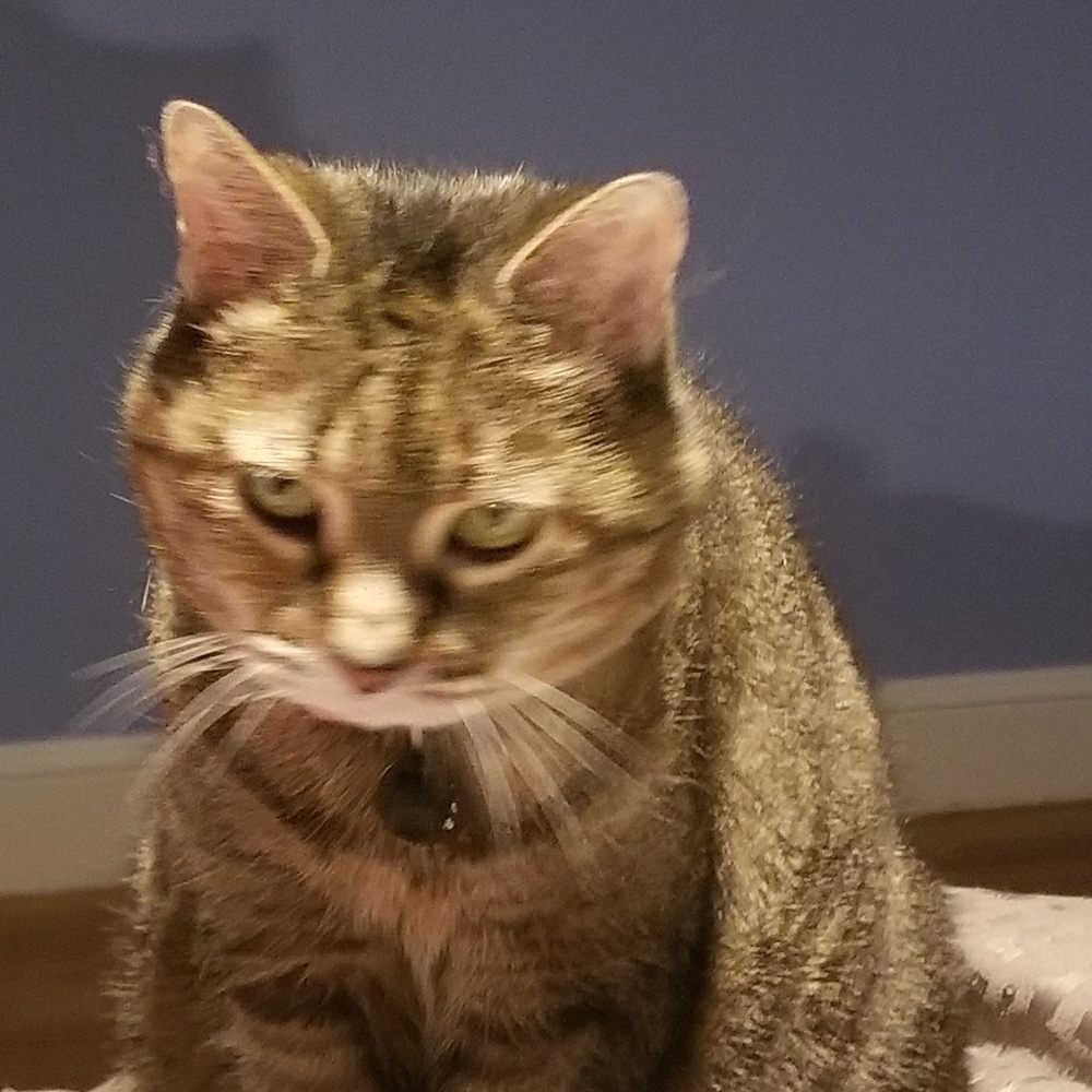 Meet your Posher, Phyllis